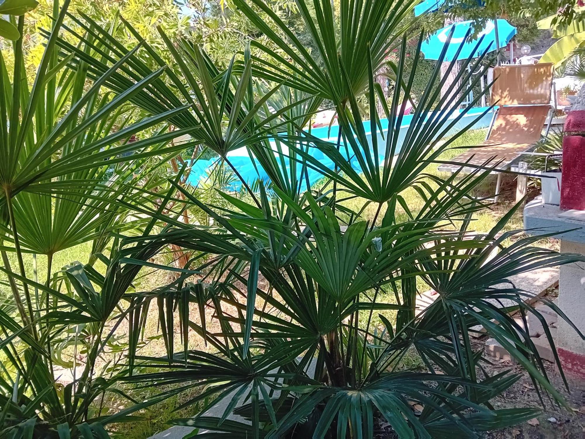 马萨Sogno Vacanze公寓 外观 照片