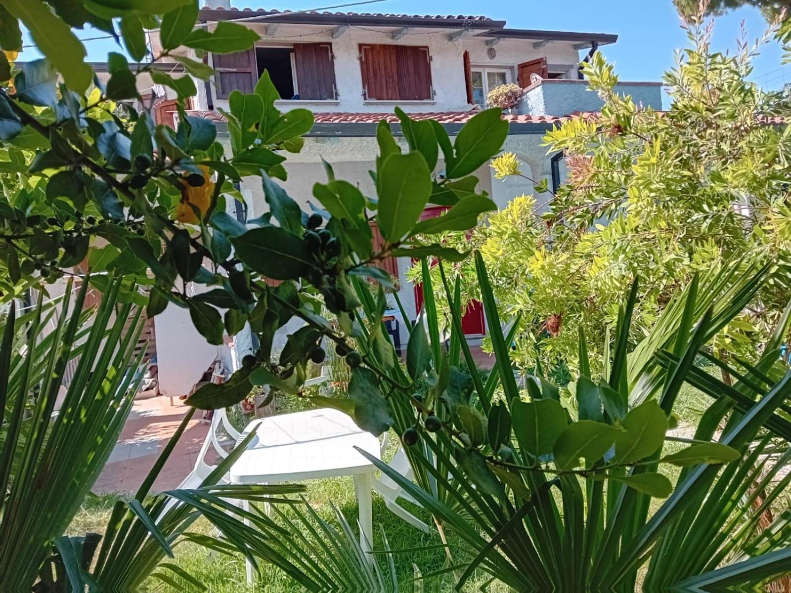 马萨Sogno Vacanze公寓 外观 照片